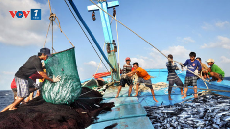 <br>- Các địa phương tăng cường xử lý tàu cá vi phạm khai thác…IUU 
<br>- Ngư dân Bình Thuận vượt sóng bám biển Trường Sa
-<br> Quân dân vùng biển Tây Nam đoàn kết, giúp ngư dân vươn khơi.