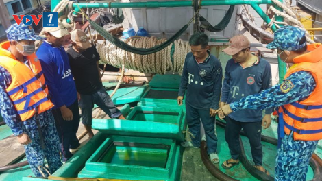 Vươn khơi bám biển: tổ đội đánh bắt giúp ngư dân vươn khơi an toàn hiệu quả (07/09/2020)