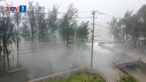 2 người Việt Nam bị mất tích do bão Haishen đi qua Nhật Bản (8/9/2020)