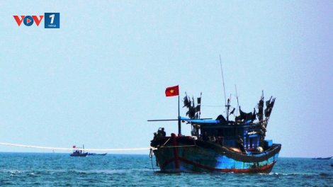 Các địa phương tăng cường xử lý tàu cá vi phạm khai thác…IUU (17+18/9/ 2020)