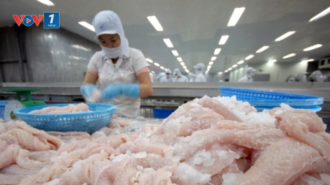 Hàng nông thủy sản tăng tốc vào EU sau khi Hiệp định EVFTA có hiệu lực (22/9/2020)