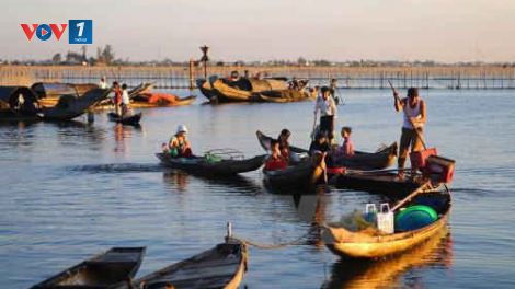 Đầm phá Tam Giang- thành công từ mô hình tái tạo nguồn lợi thuỷ sản (25/09/2020)