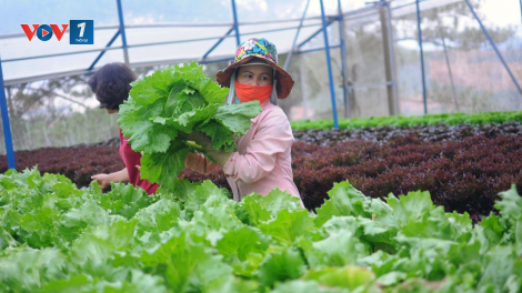 Giải pháp thúc đẩy sản xuất xanh