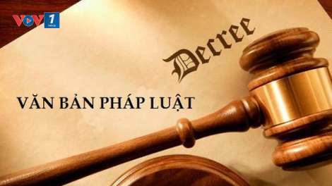 Văn bản dưới luật chậm ban hành: Làm sao để khắc phục? (21/9/2020)
