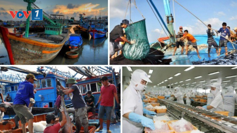 Giải pháp khắc phục cảnh báo thẻ vàng của EC (14/09/2020)
