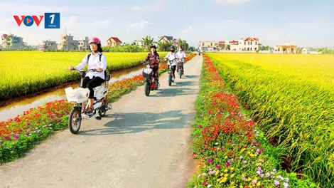 Miền quê làm mới mình từ xây dựng nông thôn mới ( Nam Định, Hà Tĩnh) (23/11/2020)