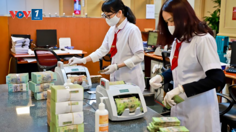 Tăng trưởng tín dụng năm 2021 sẽ khả quan hơn? (22/1/2021)