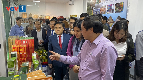Mô hình mỗi làng một sản phẩm – Cần quan tâm tới yếu tố thị trường (Nghệ An) (01/10/2020)
