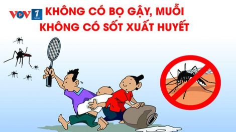 Đẩy lùi dịch bệnh sốt xuất huyết bằng nhiều biện pháp  5/12/2020