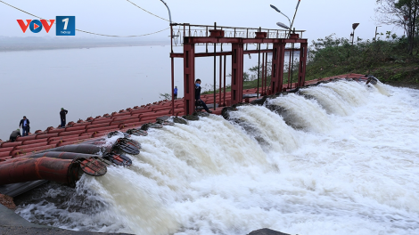 Tranh thủ lấy nước đổ ải đợt hai (28/01/2021)