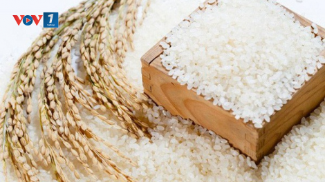 Khẳng định thương hiệu gạo Việt Nam qua các thị trường khó tính (16/01/2021)