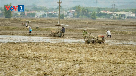 Lấy nước đợt 1 đổ ải vụ Đông xuân 2020-2021 (14/01/2021)
