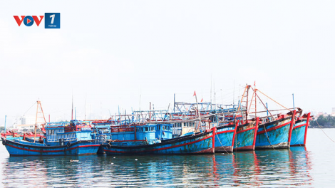 Hơn 80% tàu cá lắp đặt thiết bị giám sát hành trình theo quy định (11/01/2021)
