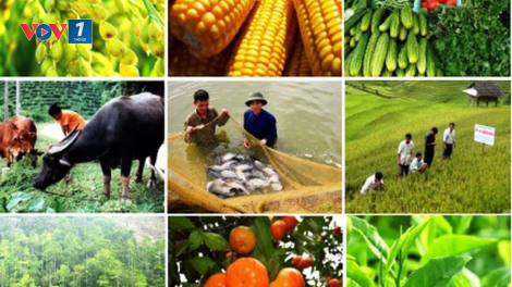 Sản phẩm nông nghiệp kỹ thuật cao và con đường ra thị trường (Hà Nội,  Hà Nam) (28/09/2020)