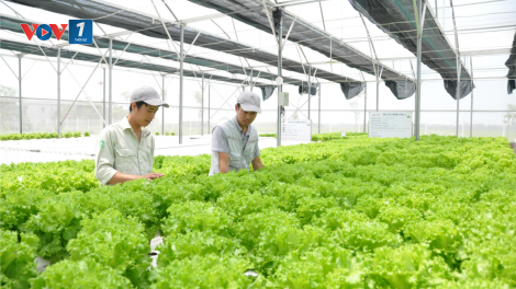 “Liên kết chuỗi giá trị nông sản sạch” (21/01/2021)