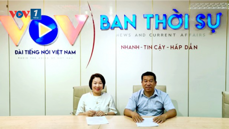 Kỹ thuật trồng giống rau mới của Hàn Quốc (08/10/2021)