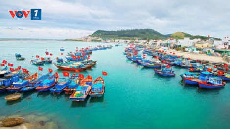 Giải pháp bảo vệ nguồn lợi hải sản, hạn chế hành vi khai thác bất hợp pháp (18/10/2021)