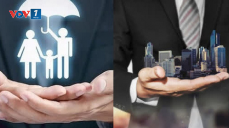 Thu nhập bình quân cao nhất của người lao động thuộc về các cơ quan quốc tế và bảo hiểm (19/10/2021)
