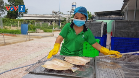 TP HCM: Doanh nghiệp nông nghiệp cần tồn tại trước khi tính chuyện phục hồi (27/10/2021