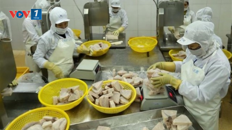Loạt bài: Cấp bách gỡ thẻ vàng thủy sản. Bài 2: Nguy cơ thẻ đỏ, thiệt hại không thể đo đếm