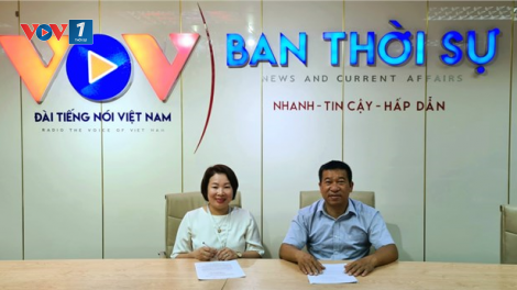 Kỹ thuật trồng rau giống mới của Hàn Quốc (08/10/2021)