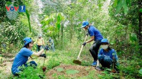 Vì sao gần 3 triệu ha rừng vẫn chưa có chủ? (06/10/2021)