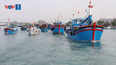 Tăng cường tuyên truyền pháp luật biển cho ngư dân, nỗ lực cùng ngành Thủy sản gỡ thẻ vàng (04/10/2021)