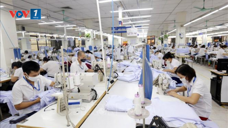 Nghị quyết 406 làm sao để đúng đối tượng, tránh trục lợi? (26/10/2021)