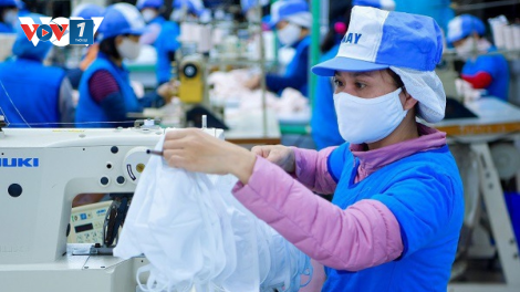 Giải quyết lao động việc làm trong bối cảnh thích ứng linh hoạt, an toàn với dịch Covid 19 (22/10/2021)