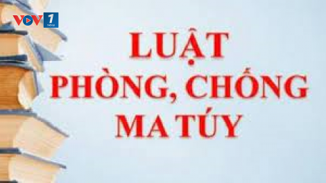 Ngành Hải quan tham gia xây dựng dự thảo Nghị định hướng dẫn thi hành Luật Phòng chống ma tuý 2021 (14/10/2021)