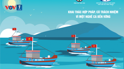 Loạt bài: Cấp bách gỡ thẻ vàng thuỷ sản
Bài 1: Đánh bắt bất hợp pháp: Điểm đen trong hoạt động gỡ thẻ vàng thủy sản (11/10/2021)