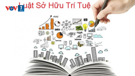 Sửa đổi Luật Sở hữu trí tuệ để phù hợp với các cam kết quốc tế (25/10/2021)