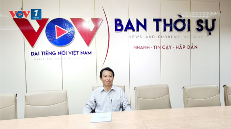 Kỹ thuật trồng rau hữu cơ cho hiệu quả cao (12/11/2021)