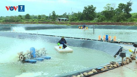 Phát triển mô hình nuôi thủy sản ở Quảng Ninh (28/11/2021)