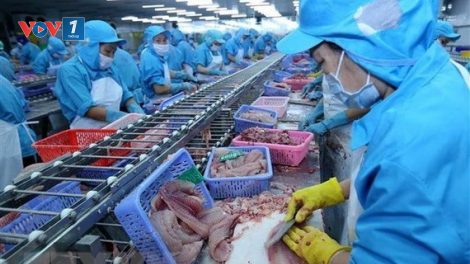 Ngành thủy sản bứt tốc (25/11/2021)