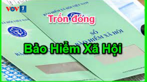 Doanh nghiệp trốn đóng bảo hiểm xã hội- người lao động chịu thiệt.