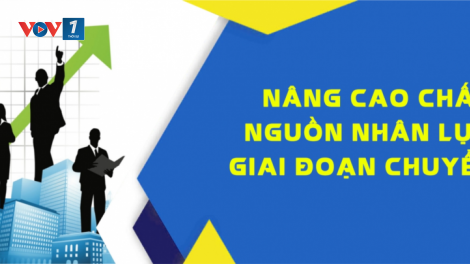 Nâng cao chất lượng nguồn nhân lực đáp ứng nhu cầu phát triển kinh tế (23/11/2021)