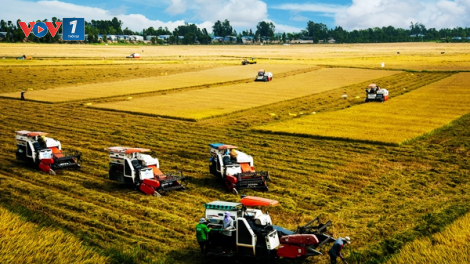 Hợp tác xã kiểu mới xây dựng chuỗi cung ứng nông sản làm “bà đỡ” cho nông dân (27/11/2021)