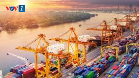 Nhiều điểm sáng trong hoạt động xuất nhập khẩu năm 2021 (30/11/2021)
