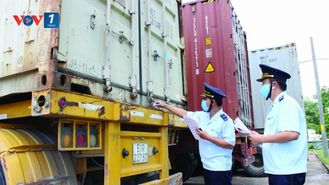 Hải quan Việt Nam tăng cường quản lý các hoạt động xuất nhập khẩu tiền chất (26/11/2021)