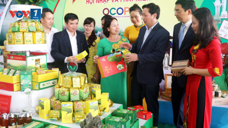 Phát triển kinh tế nông thôn từ sản phẩm OCOP (13//11/2021)