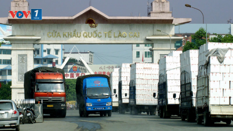 Thích ứng quy định mới trong xuất khẩu nông sản, thực phẩm vào thị trường Trung Quốc (10/11/2021)