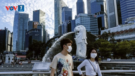 Covid-19 dần trở thành "bệnh đặc hữu" ở Singapore như thế nào? (13/12/2021)