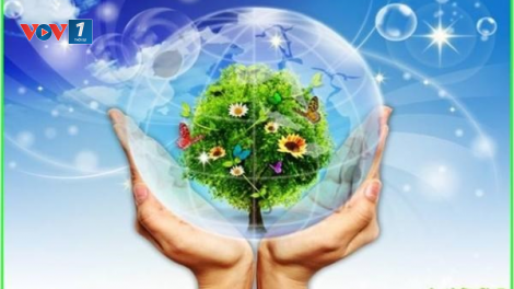 Doanh nghiệp chủ động thích ứng với biến đổi khí hậu (09/12/2021)