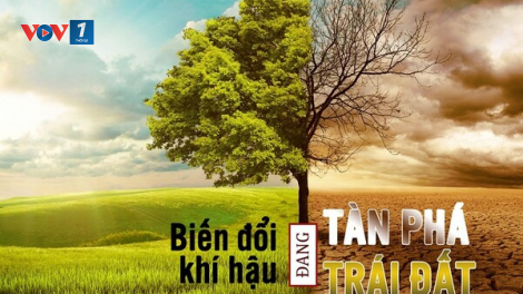 Đẩy mạnh các nghiên cứu mang tính dài hạn để ứng phó với biến đổi khí hậu (08/07/2021)