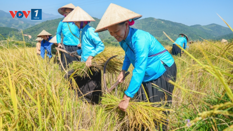 Về vùng "5 nhất" Quảng Ninh (4/12/2021)