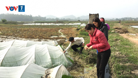 Các biện pháp ứng phó với rét đậm, rét hại (21/12/2021)