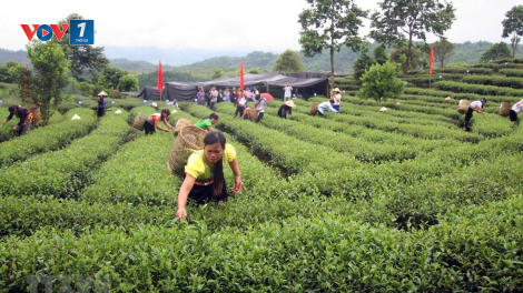 Kết luận 65 của Bộ Chính trị về tiếp tục thực hiện Nghị quyết 24 của Ban Chấp hành Trung ương Đảng khoá 9 về công tác dân tộc trong tình hình mới. (02/12/2021)