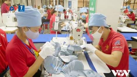 Đóng bảo hiểm xã hội 10-15 năm sẽ được hưởng lương hưu(30/10/2021)