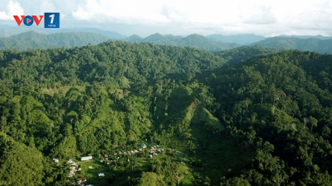 Thấy gì từ kế hoạch phát triển công nghiệp xanh của Indonesia? (1/12/2021)